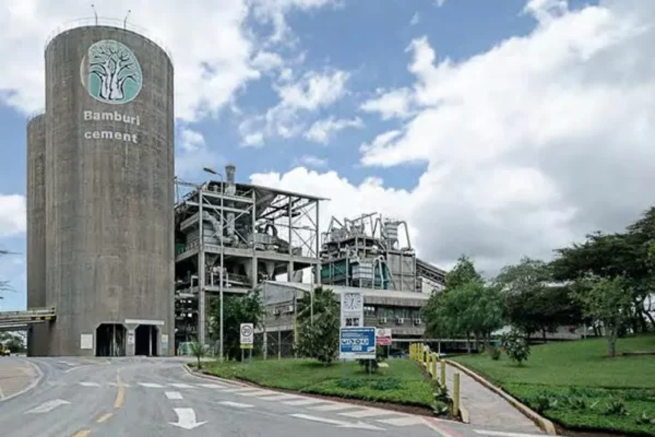 Live project in jamaica